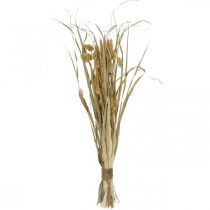 Dried grasses and cereals natural in a bunch dried bouquet 48cm