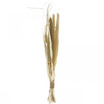 Product Dry floristry Grain Bunch of millet cobs dried 45cm