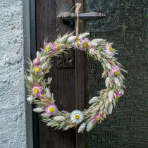 Dried Flower Ring Pink Ring Dried Flower Loop DIY Box Ø20cm