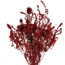 Product Dried Flower Bouquet Thistle Decoration in Wine Red 40cm 80g