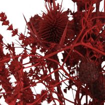 Product Dried Flower Bouquet Thistle Decoration in Wine Red 40cm 80g