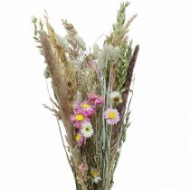 Bouquet of dried flowers grass Phalaris straw flowers pink 60cm 110g