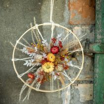 Bouquet of dried flowers Bouquet of meadow flowers Red H50cm 150g