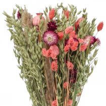 Bouquet of dried flowers straw flowers grain poppy capsule Phalaris sedge 55cm