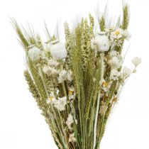Bouquet of dried flowers straw flowers grain poppy capsule dry grass 50cm