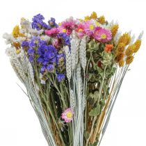 Bouquet of dried flowers sea lavender Phalaris grain 55cm