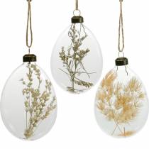 Product Dry grasses in a flacon to hang three-colored dry decoration glass 3pcs