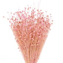 Product Dried Grass Dried Flax Light Pink H50–55cm 80g