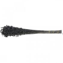 Product Dried Flax Decorative Black Grass 50–55cm 80g