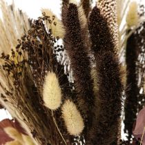 Dry bouquet eucalyptus dry grass bouquet 60cm 120g