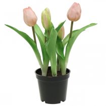 Product Tulip pink, green in a pot Artificial potted plant decorative tulip H23cm