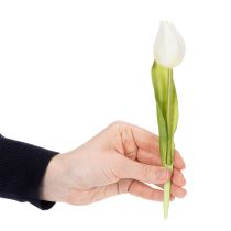 Product Artificial Tulip, Realistic Decoration, Durable Artificial Flower for Home, 21cm, 6 Pieces