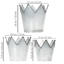 Product Planter crown metal decorative zinc Ø21.5/19.5/17cm set of 3