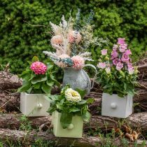 Product Planter Ceramic, Drawer for Planting, Square, 12×10.5×9.5cm 3 pcs