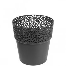 Product Planter plastic flower pot anthracite Ø11.5cm H12.5cm