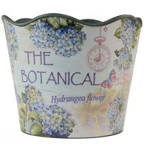 Product Planter plastic flower pot summer hydrangeas Ø16.5cm H13.5cm