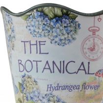 Product Planter plastic flower pot summer hydrangeas Ø16.5cm H13.5cm