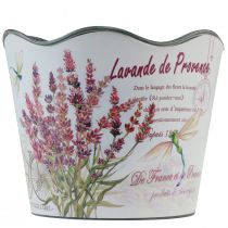 Product Planter plastic flower pot summer lavender Ø16.5cm H13.5cm