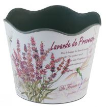 Product Planter plastic flower pot summer lavender Ø16.5cm H13.5cm