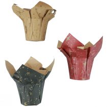 Product Planter Paper Stars Red/Anthracite/Natural Ø12cm H12cm 9pcs