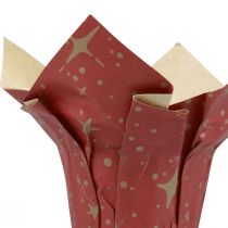 Product Planter Paper Stars Red/Anthracite/Natural Ø12cm H12cm 9pcs