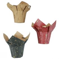 Planter paper stars red/anthracite/natural Ø9.5cm H10cm 9 pieces