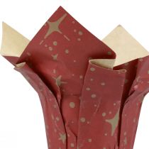 Planter paper stars red/anthracite/natural Ø9.5cm H10cm 9 pieces