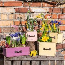 Planter drawer wood deco purple 25×13×9cm