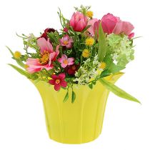 Product Planter plastic colorful assorted Ø9cm 10 pcs