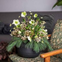 Planter Black Ceramic Flower Pot Ø23cm H19.5cm