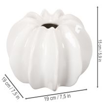 Product Glossy White Pumpkin Vase for Artificial and Dried Flowers, 19cm