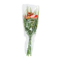Product Packaging funnel A L35cm W20cm - 8cm 50 pcs