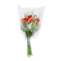 Product Packaging funnel B L45cm W40cm - 14cm 50 pcs