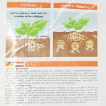 Product Villa Flora potting soil 10l