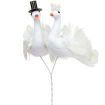 Bird newlyweds white 38cm