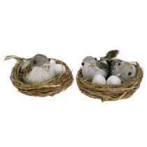 Bird's Nest with Eggs and Birds 6pcs