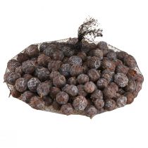 Product Juniper cones Syrian juniper natural Ø1.5–2.5 cm 1 kg