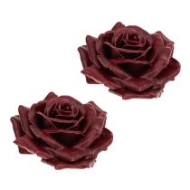 Wax rose dark red Ø10cm 6pcs