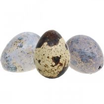 Quail egg mix purple, violet, nature empty eggs as decoration 3cm 65p