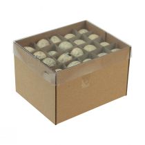 Product Quail Eggs Decoration Easter Blown Out Eggs Cream 3cm 50 Pcs