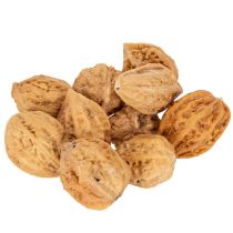 Product Natural Brown Walnuts for Decoration and DIY, 4-5cm, 300g