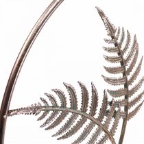 Wall decoration decorative ring for hanging fern metal rose Ø52cm