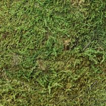 Product Christmas tree moss decoration in green natural Ø30cm H100cm