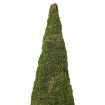 Product Christmas tree moss tree decoration in green natural Ø25cm H70cm