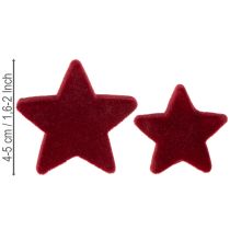 Product Christmas decorations, stars, Bordeaux flocked, table decoration, 4-5cm, 40 pieces