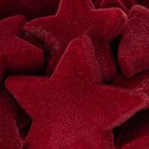 Product Christmas decorations, stars, Bordeaux flocked, table decoration, 4-5cm, 40 pieces