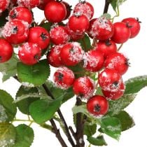 Christmas branches with red berries, winter decoration, harpberry red snowed L58cm