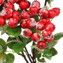 Product Christmas branches with red berries, winter decoration, harpberry red snowed L58cm