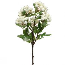 Product Christmas branches, snowberry, artificial plant snowed L58cm