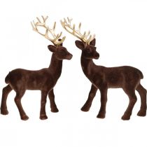 Christmas decoration deer to place brown, gold 20cm 2pcs